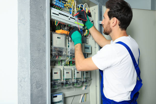 Best Ceiling Fan Installation Electrician  in Wilsons Mills, NC